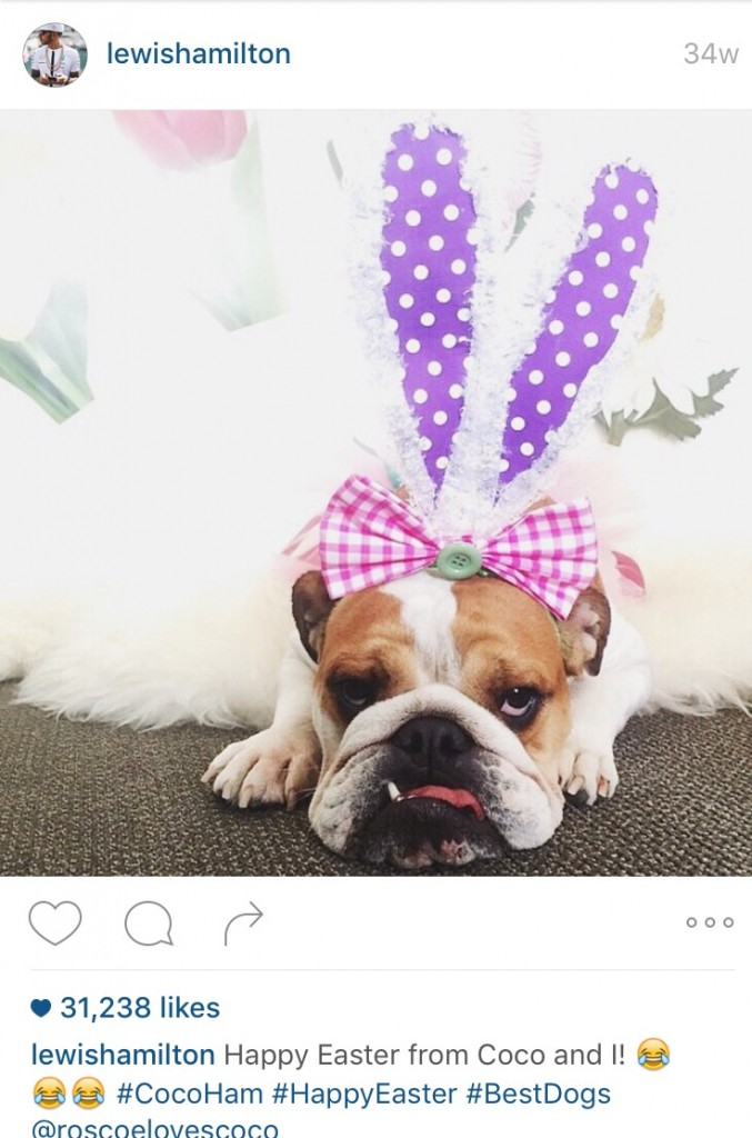 Hamilton's Easter post